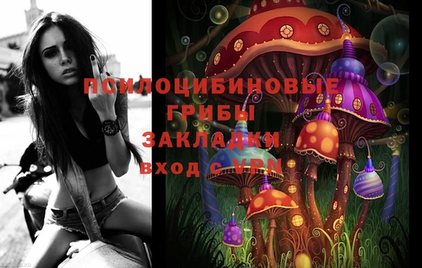 дурь Алексеевка