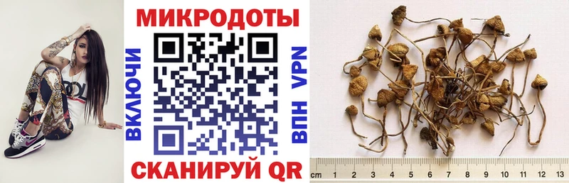 как найти наркотики  Венёв  Галлюциногенные грибы MAGIC MUSHROOMS 